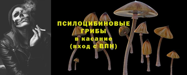 гашиш Белокуриха