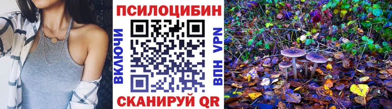 Купить  Назарово  Псилоцибиновые грибы прущие грибы 